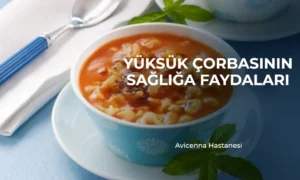 Yuksuk corbasinin Sagliga Faydalari avicenna