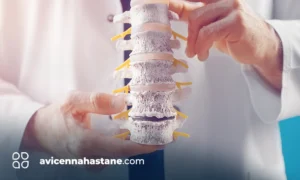 bel fitigi ozon avicenna hastanesi