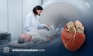 bt anjyo avicenna hastanesi