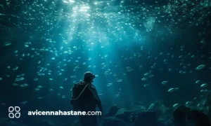 oksijen tuketimi insan avicenna