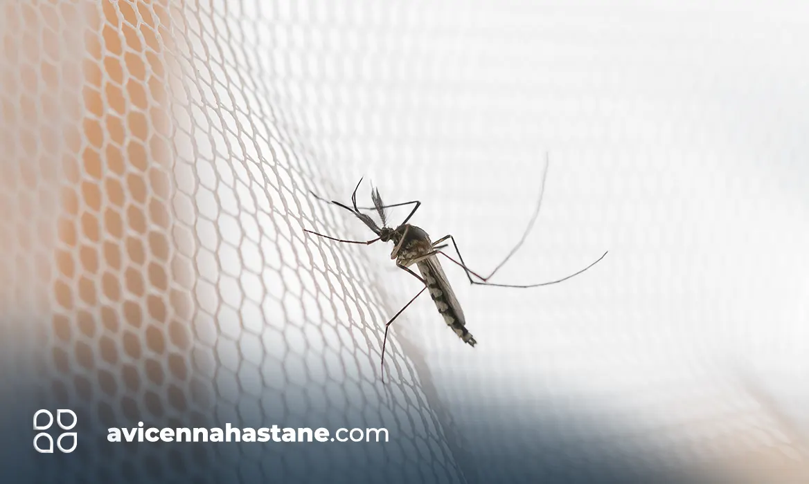 Sivrisinek ve Kaşıntısı